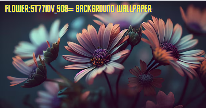 Flower:5t77iov_so8= Background Wallpaper